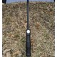 Millennium Umbrella